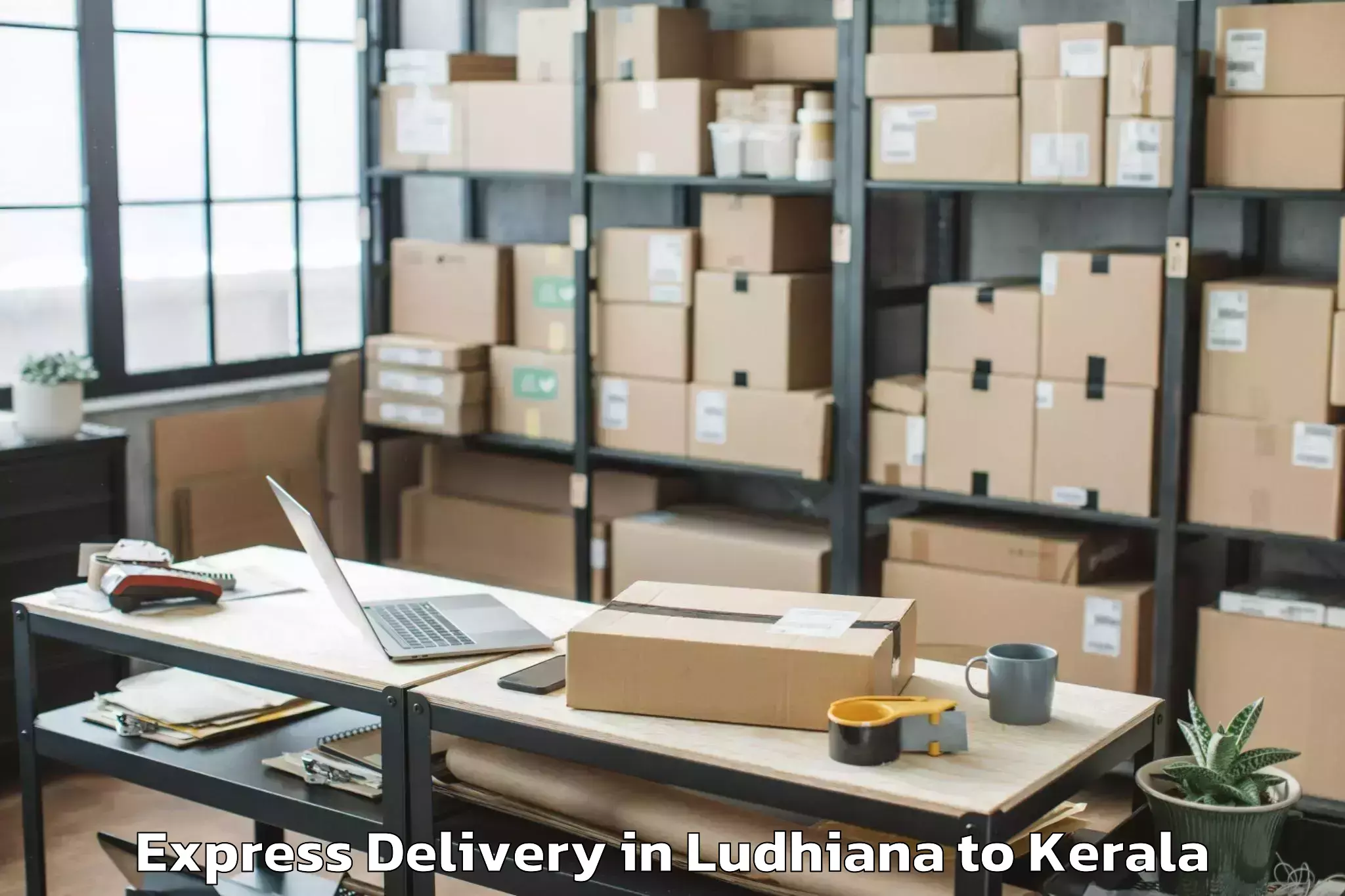 Book Ludhiana to Central University Of Kerala K Express Delivery